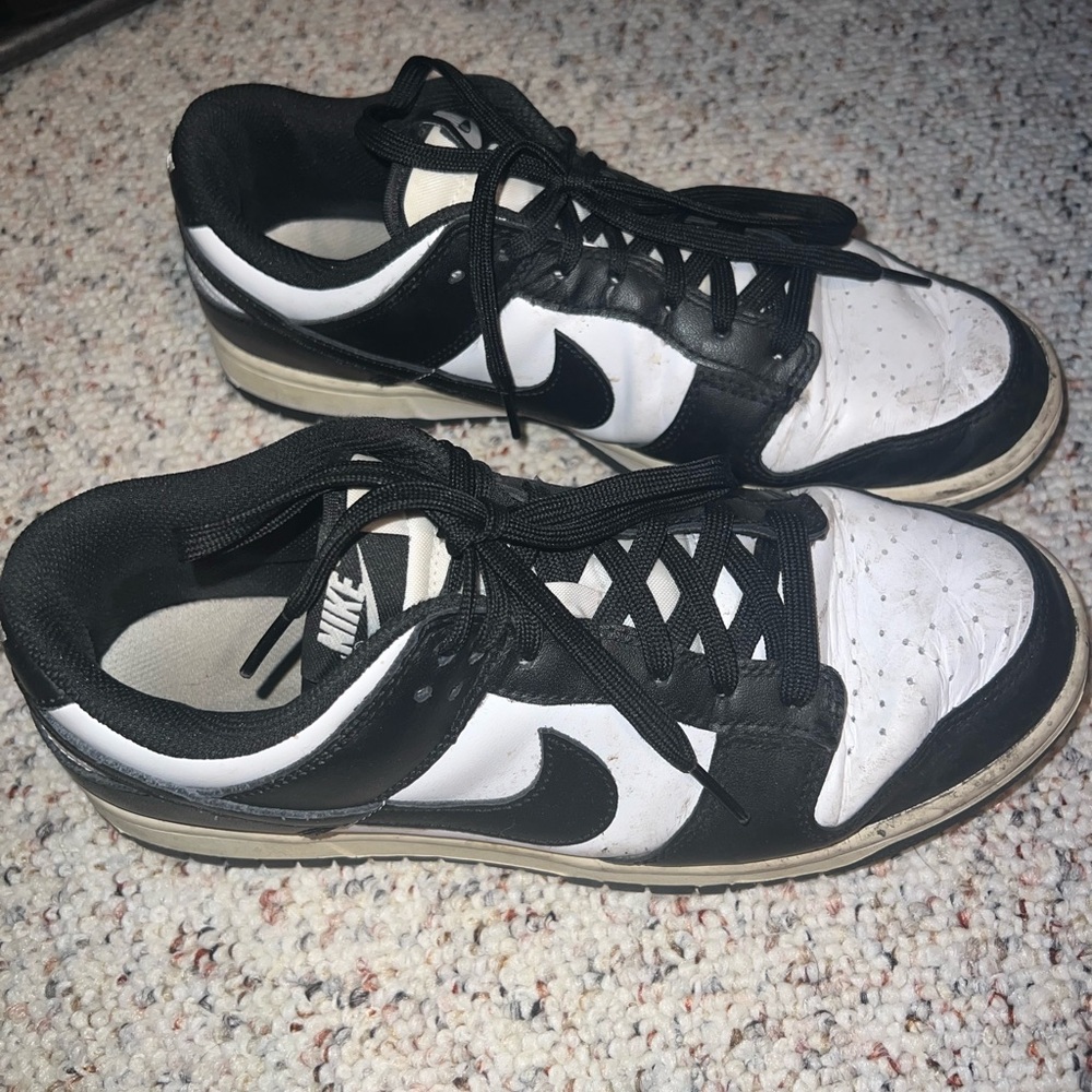 Women Nike Dunks
